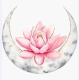 lotus moon 1.JPG