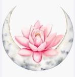 lotus moon 1.JPG