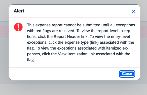 Where to add explanation for expenses that is olde - SAP