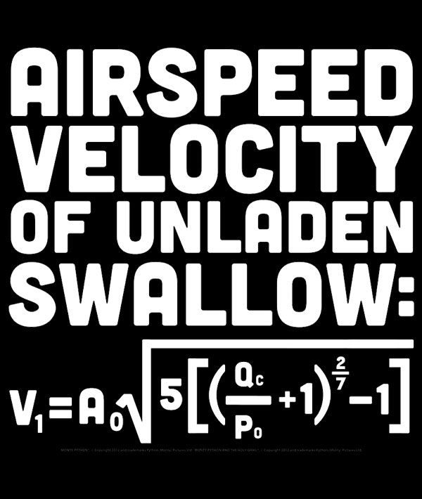 airspeed velocity unladen swallow.jpg
