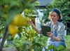 284406_SAP_GARDEN_SHOT_2168_Hi-Res_RGB_RET_2600.jpg