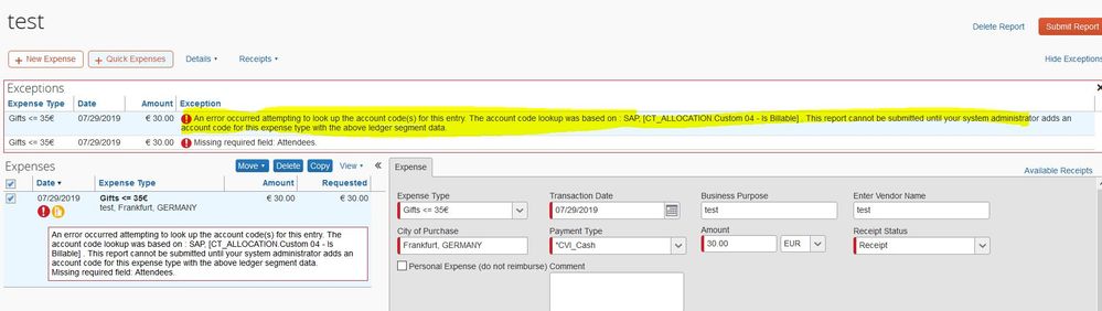 Concur Error.JPG