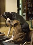 Axl and Molly.jpg