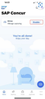 SAPConcurTeam_0-1731526765081.png