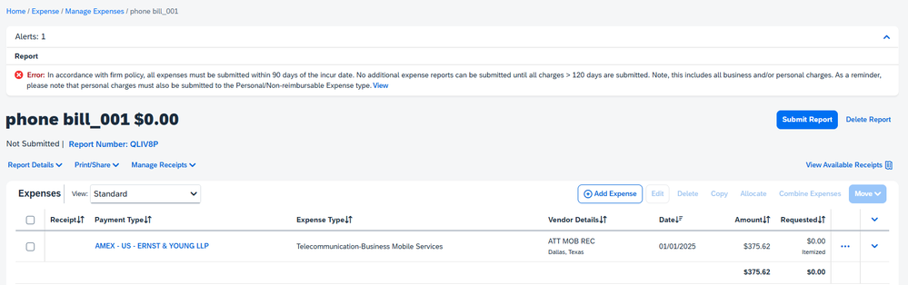EY_expense_0-1740457824241.png