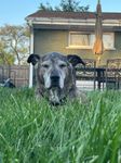 IMG_8059.JPEG