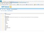 Cognos Screen.JPG