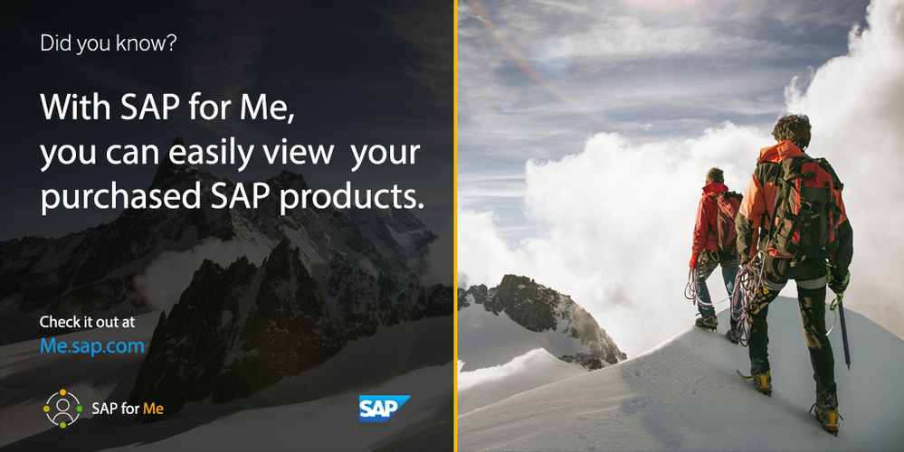 Sap -what you need to know