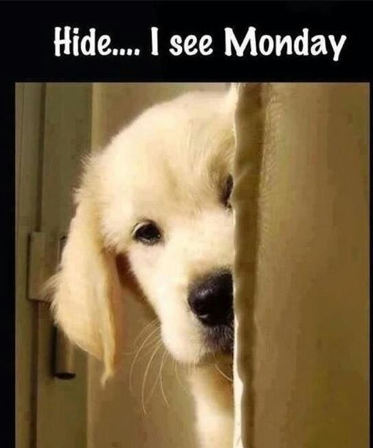 Monday Coming.JPG