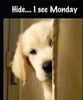 Monday Coming.JPG