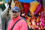 Profile (Vijay)