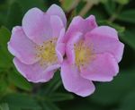 DSC_0081.jpg