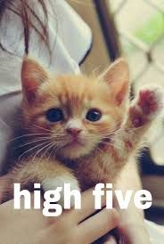 highfivekitten.jpg