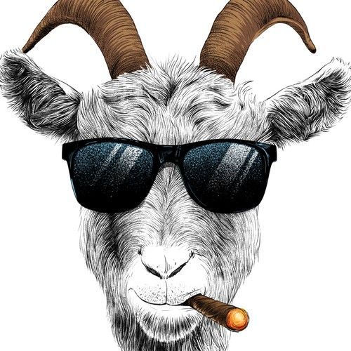 goat_92241418.jpg