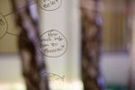 276406_276406_l_srgb_s_gl.jpg