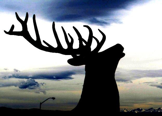 bigbuck.JPG
