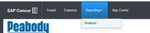 Reporting Tab.png