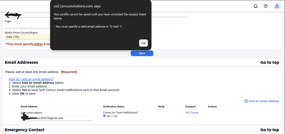 concur-issue.png