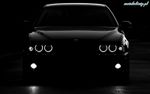 Profile (alxrad)