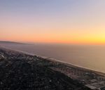 fly from LAX.jpg