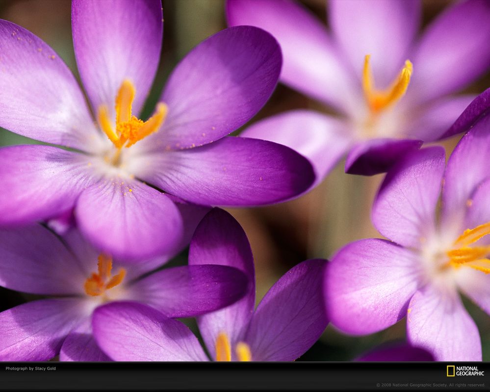 1488_1280x1024-wallpaper-cb1267711370.jpg