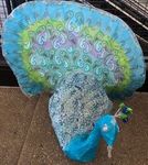 peacock.jpg