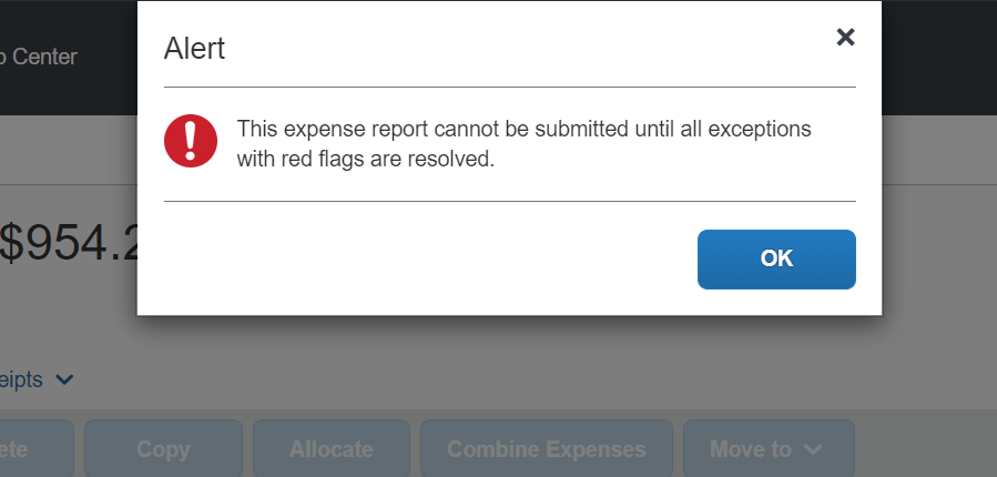 Re: Red flag message but no red flags - SAP Concur Community