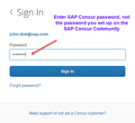 SAPConcurTeam_2-1633020098403.png