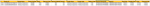 Screen Shot 2021-10-15 at 12.19.22 PM (2).png