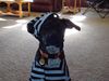 DSC00501.JPG