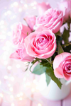 504cde05280f1e9d8cbb71b51fa7023f.png