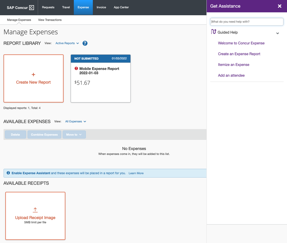 Get Assistance panel displays Guided Help options