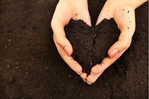 Love earth.png