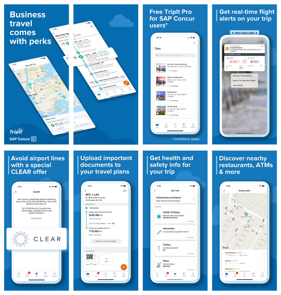 MicrosoftTeams-image (2).png