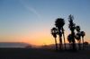 285434_Santa-Monica-iStock-187126389.jpg
